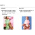Summer Infant SwaddleMe Cotton 初生至3個月嬰兒BB 純棉包巾包被 1件裝 粉紅